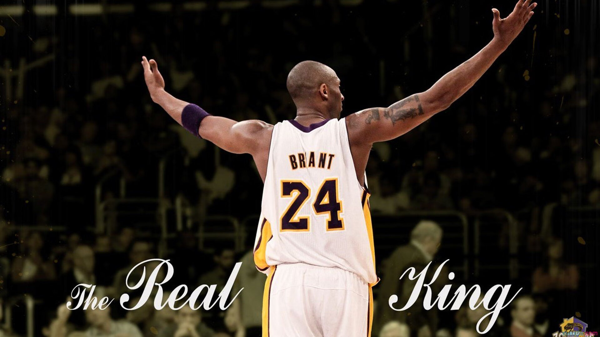 北境冰封盐湖城，猛龙火力全开，季后赛焦点战碾压爵士